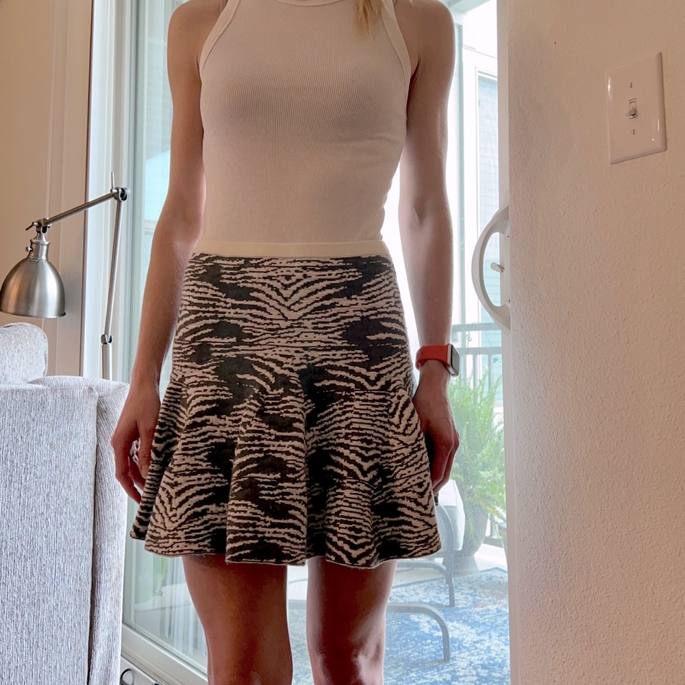 Fit and Flare Skirt